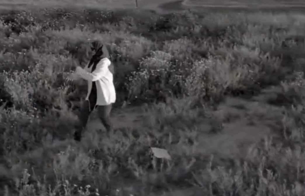 المكونات الرئيسية لرياضة التاي تشي