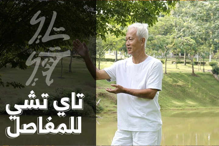 تأهيل المدربين لبرنامج تاي تشي لالتهاب المفاصل والوقاية من السقوط