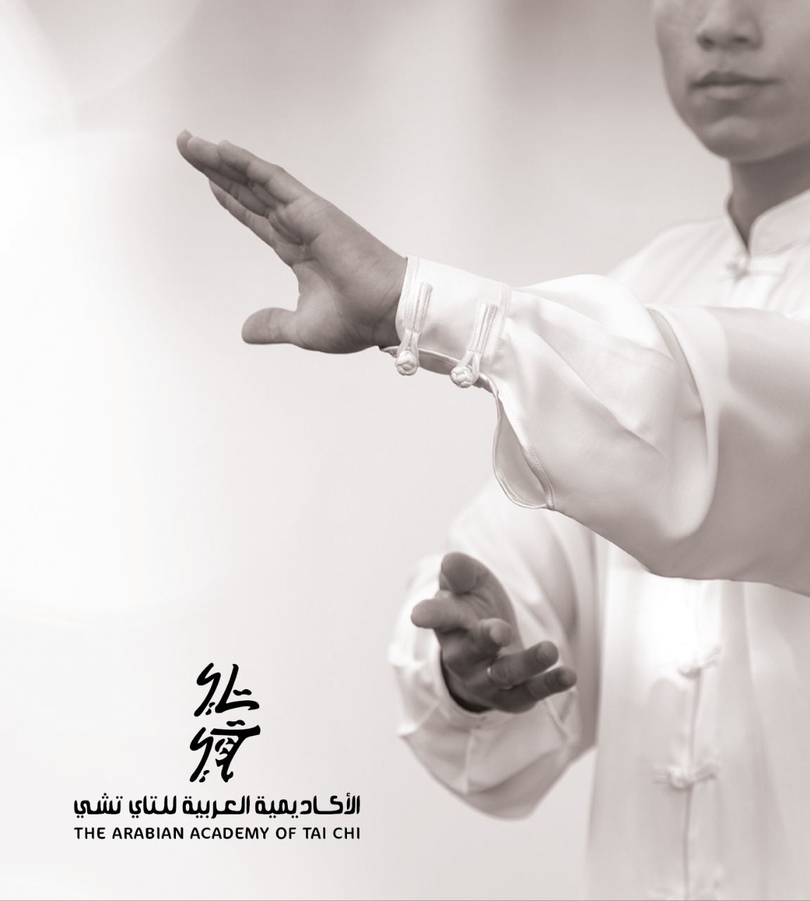 تاي تشي سن 73