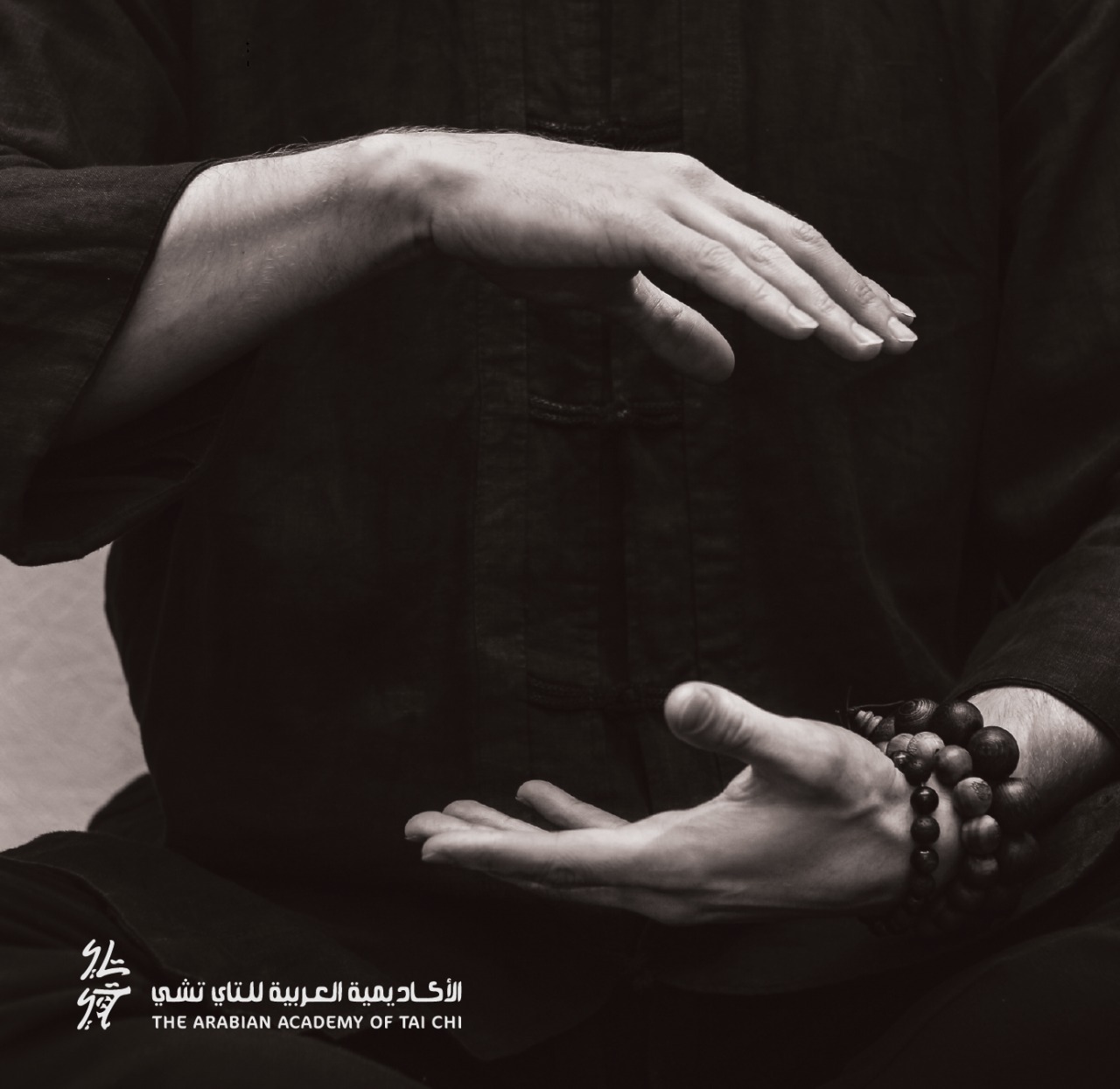 تاي تشي يانغ 24